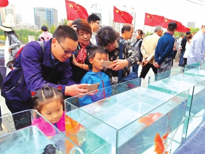 長假期間，有趣的活動吸引了市民圍觀